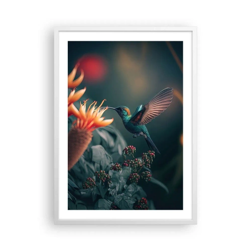 Poszter fekete keretben - Egy igazán színes élet - 50x70 cm