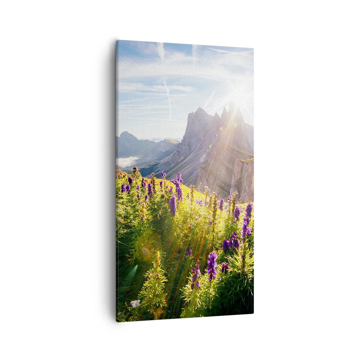 Vászonkép - A gyógynövények titkos élete - 55x100 cm