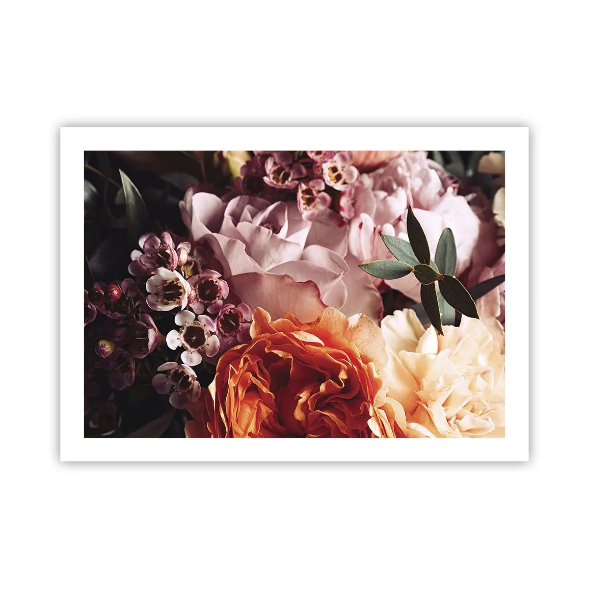 Poszter - Szépségbe burkolózva - 70x50 cm