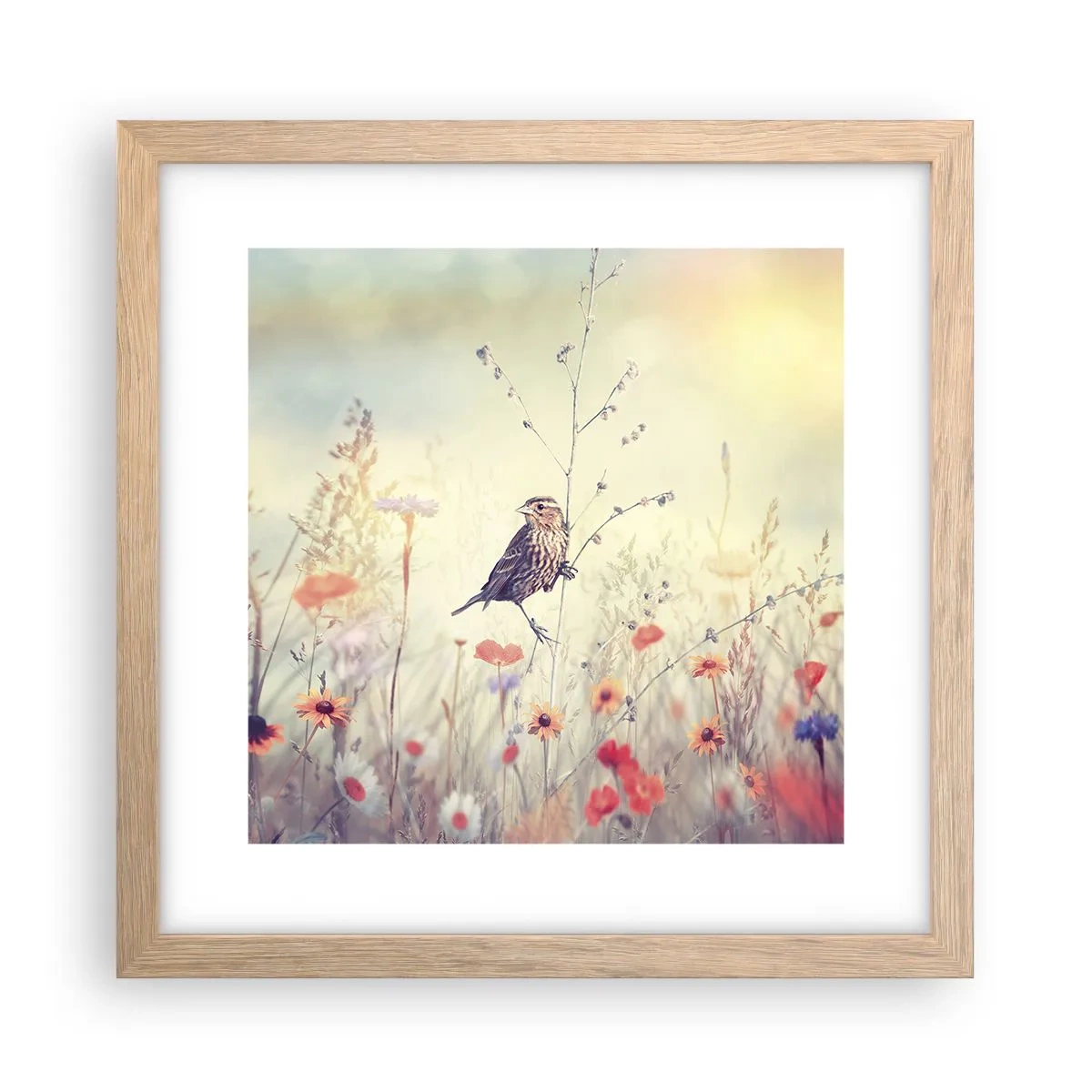 Poszter világos tölgy keretben - Madárportré egy réttel a háttérben - 30x30 cm