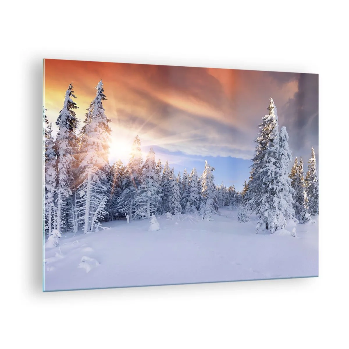 Üveg kép - Téli táj hófödte fákkal naplementekor - 70x50cm - A természet havas látványa - Modern fali dekoráció nappalihoz és hálószobához ARTTOR