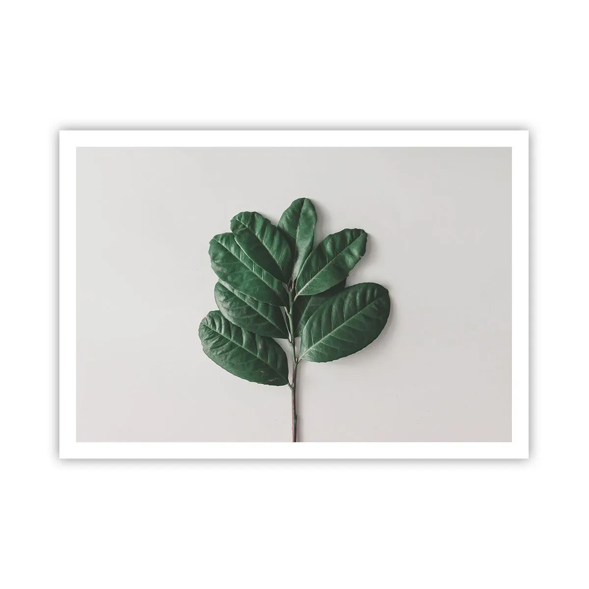 Poszter - Rajz csak a természetről - 100x70 cm