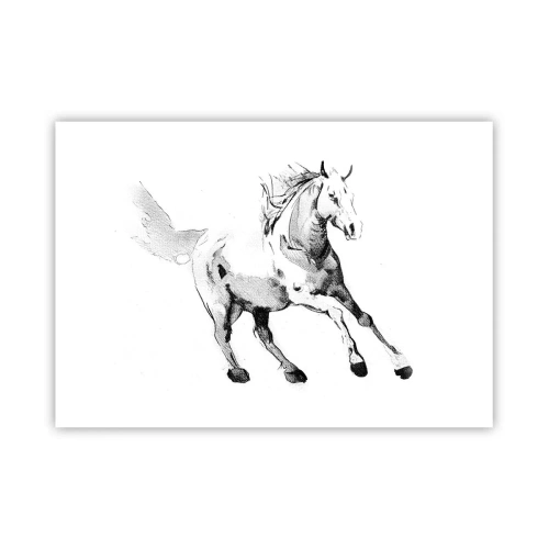 Poszter - Megszelídíthetetlen lélek - 100x70 cm