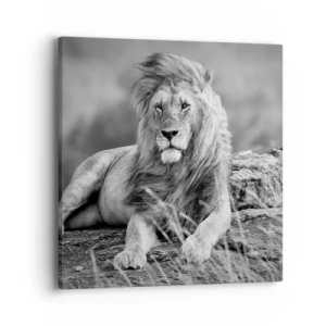 Vászonkép - Királyi szieszta - 40x40 cm