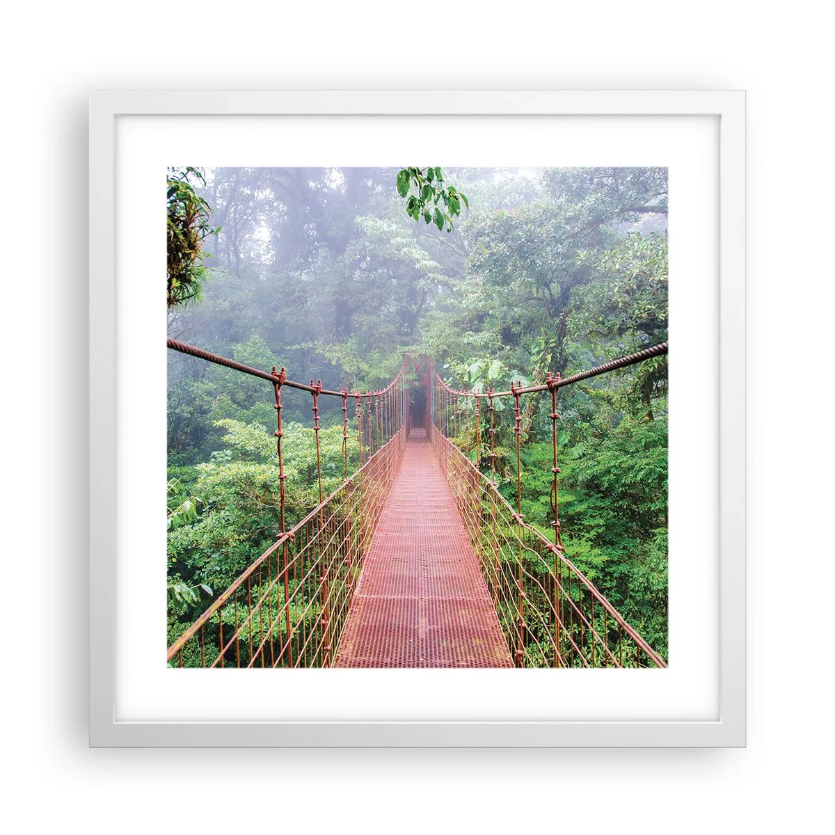 Poszter fekete keretben - A lomkoronák fölé függesztve - 40x40 cm