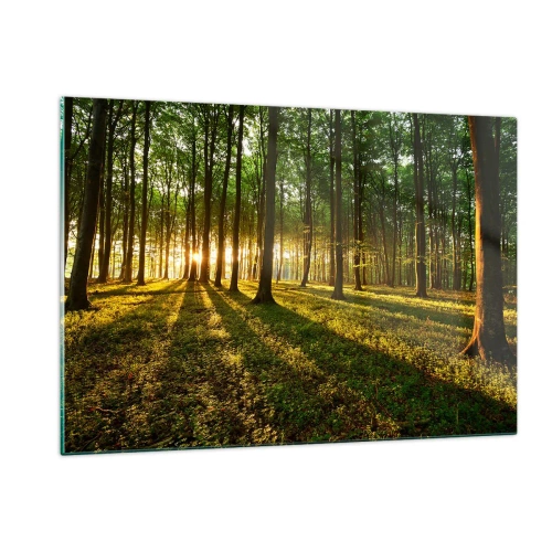 Üveg kép - Minden tavasz fotója - 120x80 cm