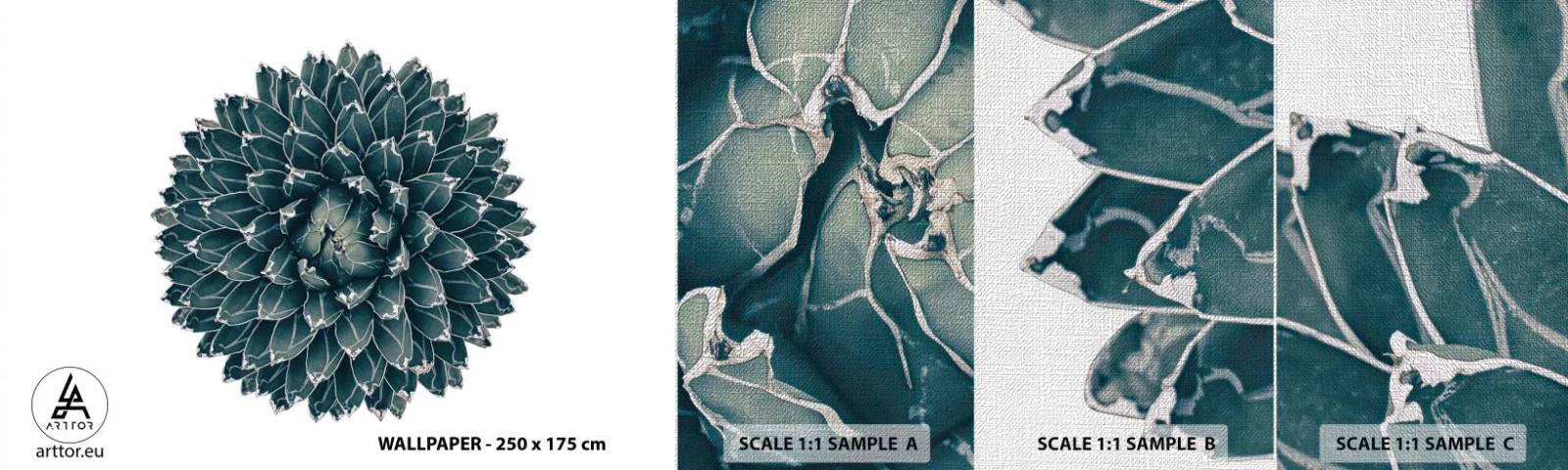 Fotótapéta Minta Premium Canvas - A sivatag csillaga - Kaktusz, Agávé, Grafika - 100x30 cm