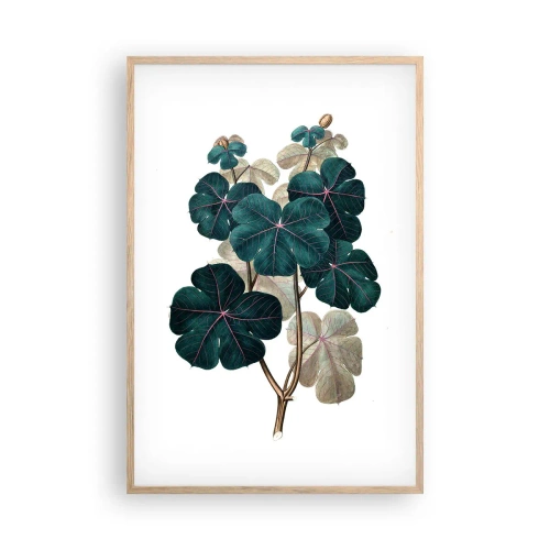 Poszter világos tölgy keretben - Egy régi herbáriumból - 61x91 cm