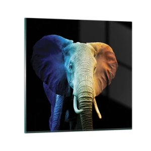 Üveg kép - Excentrikus, nem különc - 40x40 cm