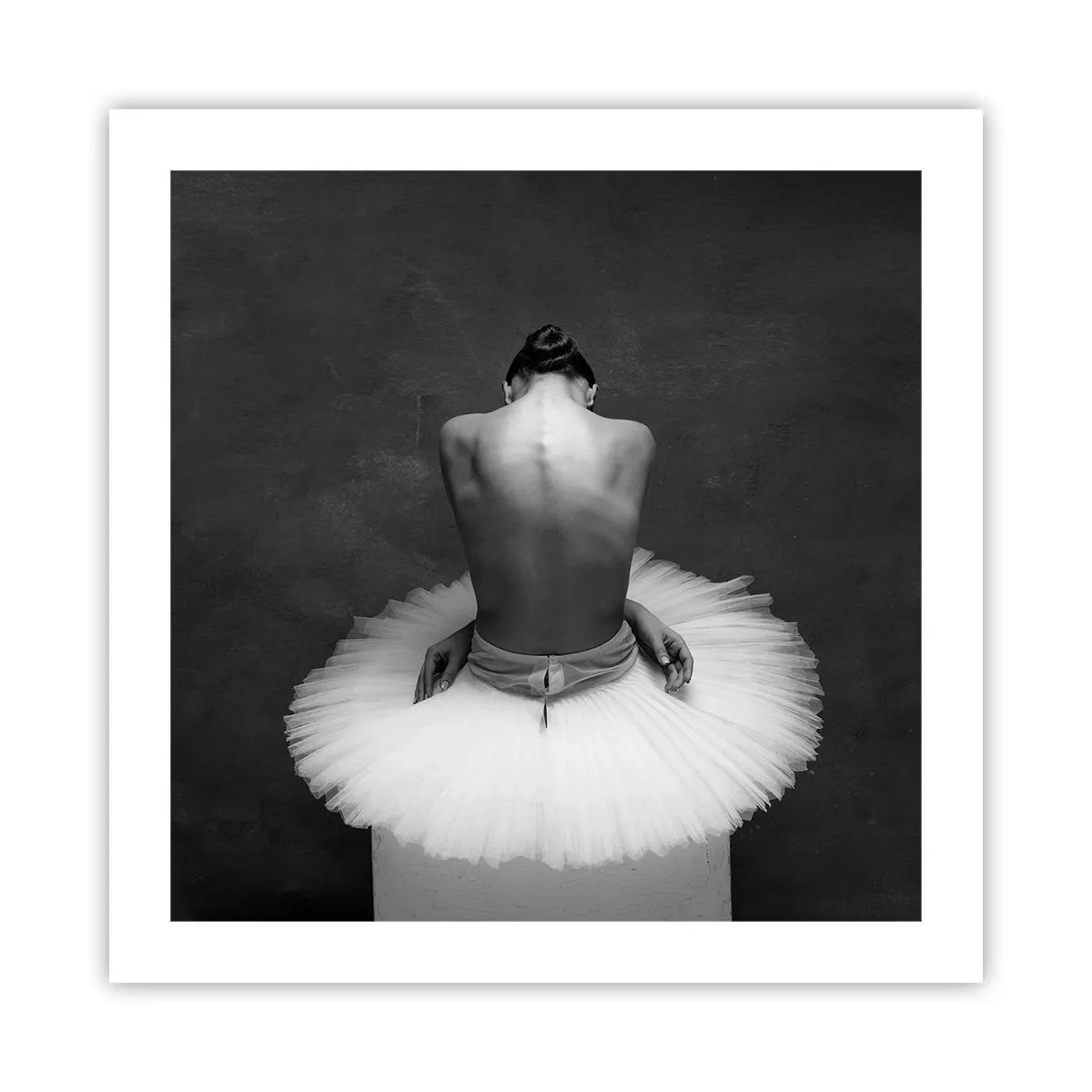 Poszter - Épp virágzik - 50x50 cm