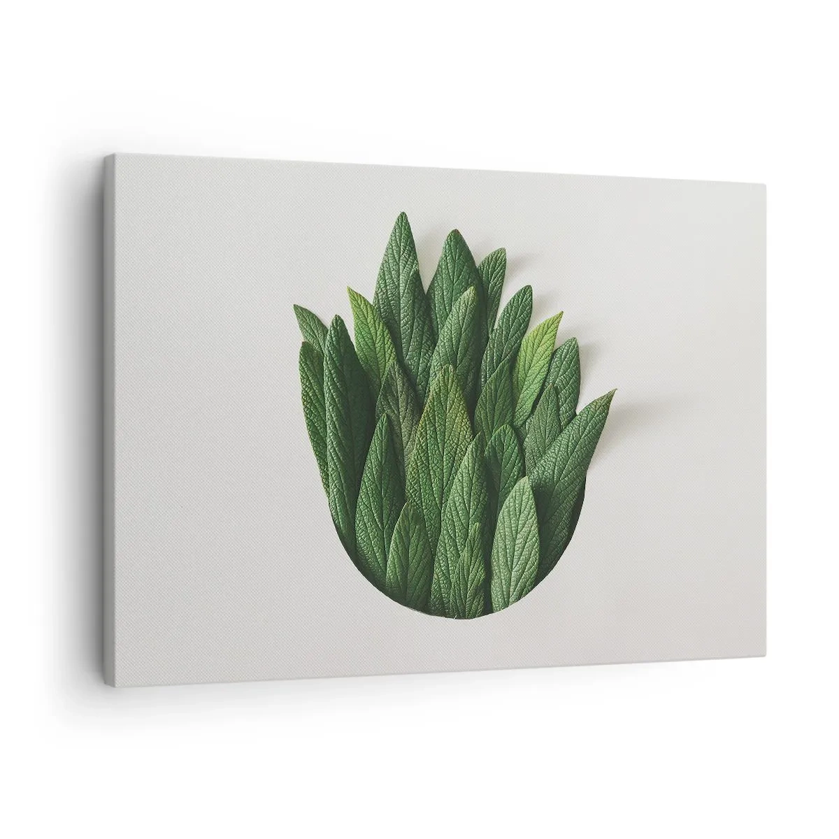 Vászonkép - Zöld levelek kompozíciója világos háttér előtt - 70x50cm - Féktelen kíváncsiság - Modern fali dekoráció nappalihoz és hálószobához ARTTOR