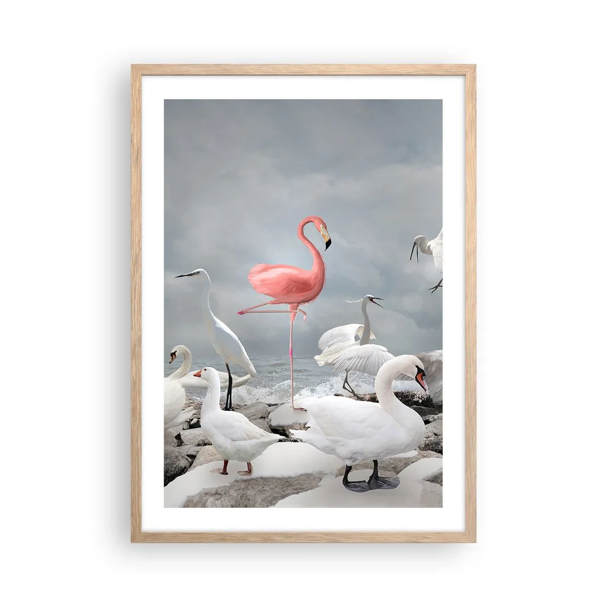 Poszter világos tölgy keretben - Hogy kerültem ide? - 50x70 cm