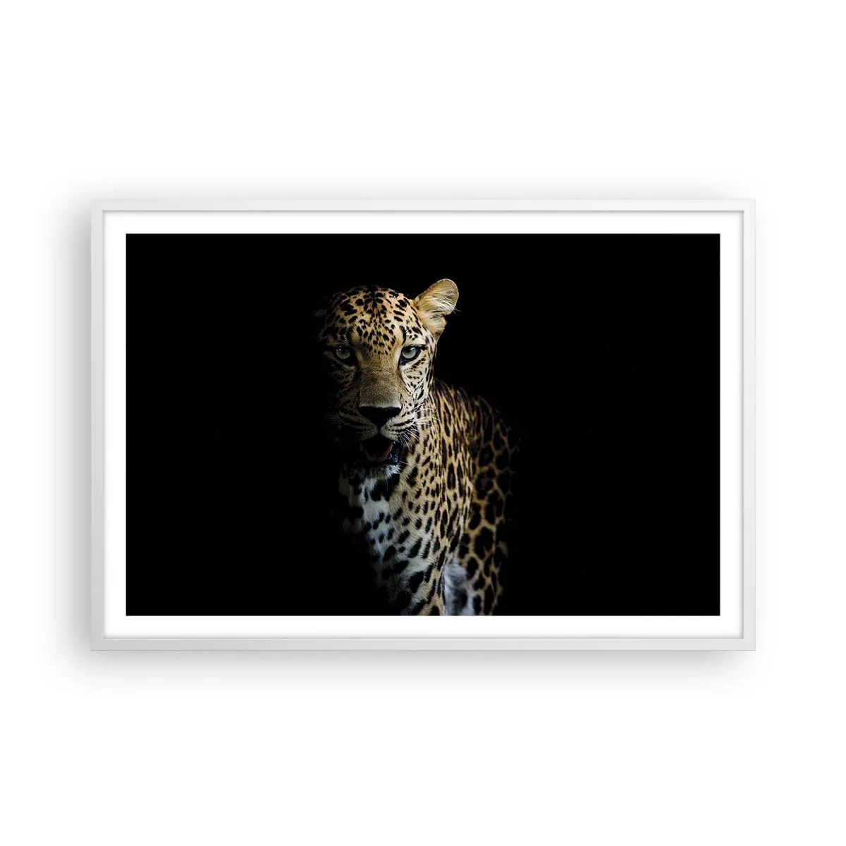 Poszter fekete keretben - Sötét szépség - 91x61 cm