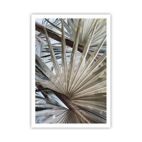 Poszter - Legyező a trópusokon - 70x100 cm