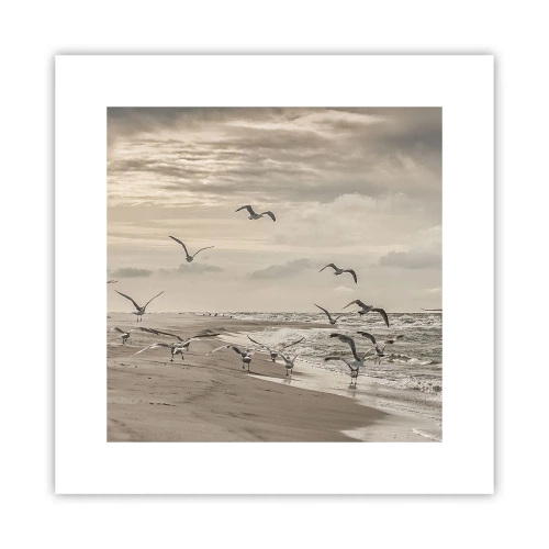 Poszter - A tenger hangja, a madarak éneke - 30x30 cm