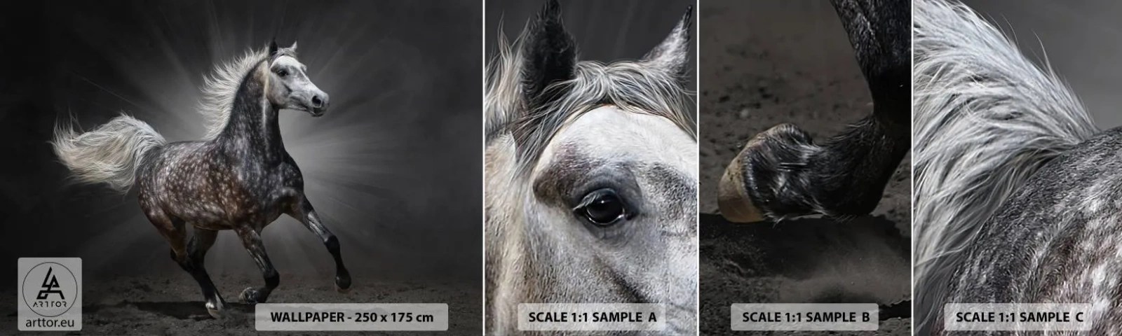 Fotótapéta Minta Öntapadós Deluxe Sticker - A szürke gyönyörű - Állatok, arab ló, Természet - 100x30 cm