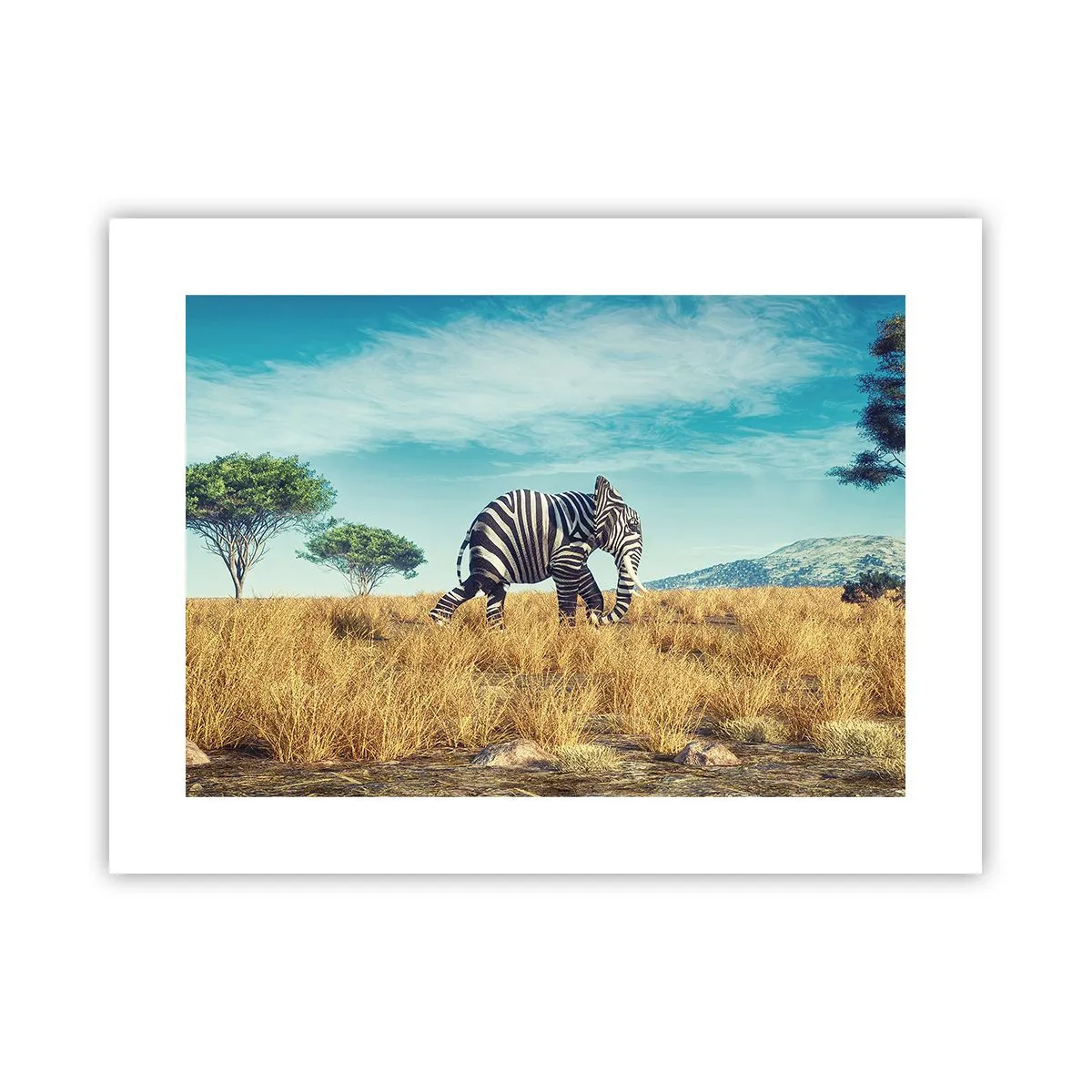 Poszter - A szürke már nem menő - 40x30 cm