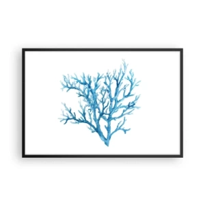 Poszter fehér keretben - Tengeri filigrán - 91x61 cm