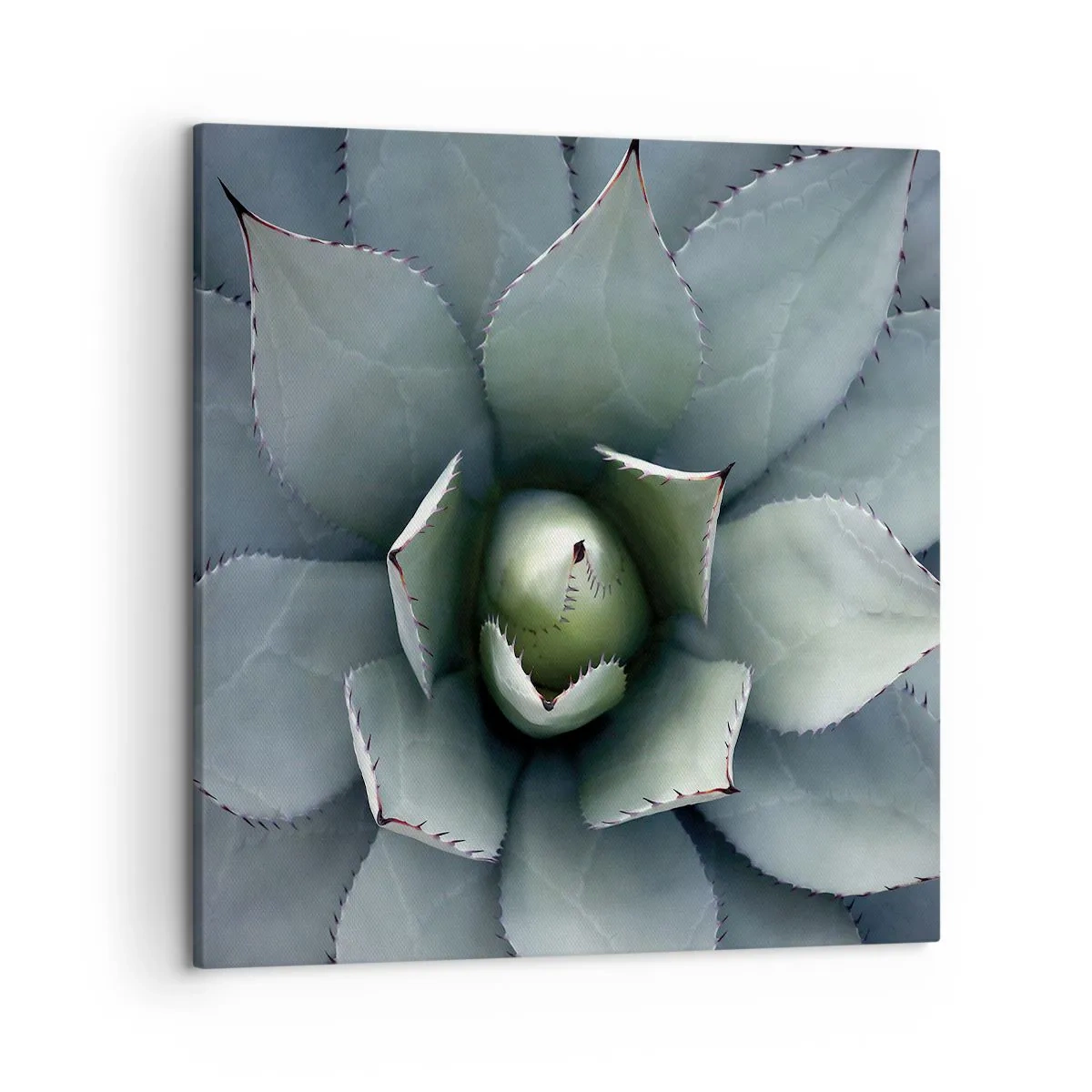 Vászonkép - Wabi és figyelmeztetés - 50x50 cm