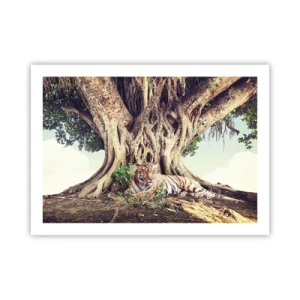 Poszter - Kilátás a Genezis könyvéből - 70x50 cm