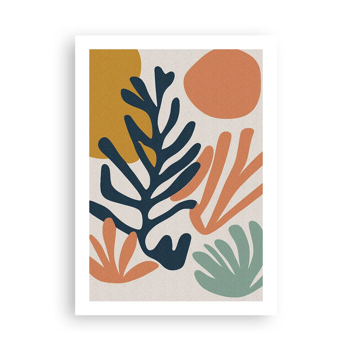 Poszter - Koralltengerek - 50x70 cm