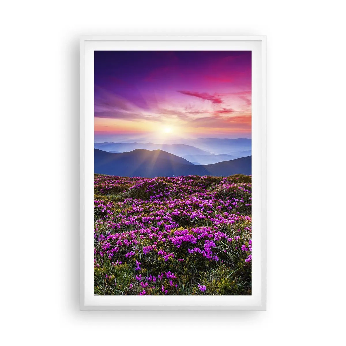 Poszter fekete keretben - A gyógynövények friss fürtjei illatoztak a mezőkről - 61x91 cm