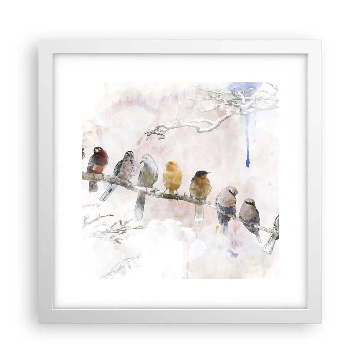 Poszter fekete keretben - Szárnyas találkozó - 30x30 cm