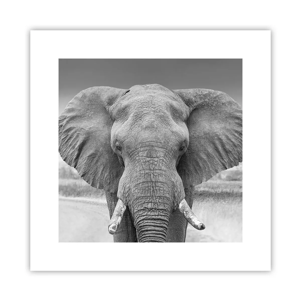 Poszter - Üdv a világomban - 30x30 cm