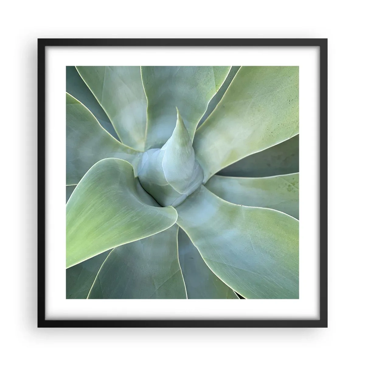 Poszter fehér keretben - A zöld születése - 50x50 cm