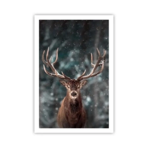 Poszter - Az erdő királya koronázva - 61x91 cm