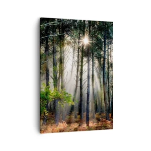 Vászonkép - Az erdő szépsége - 50x70 cm