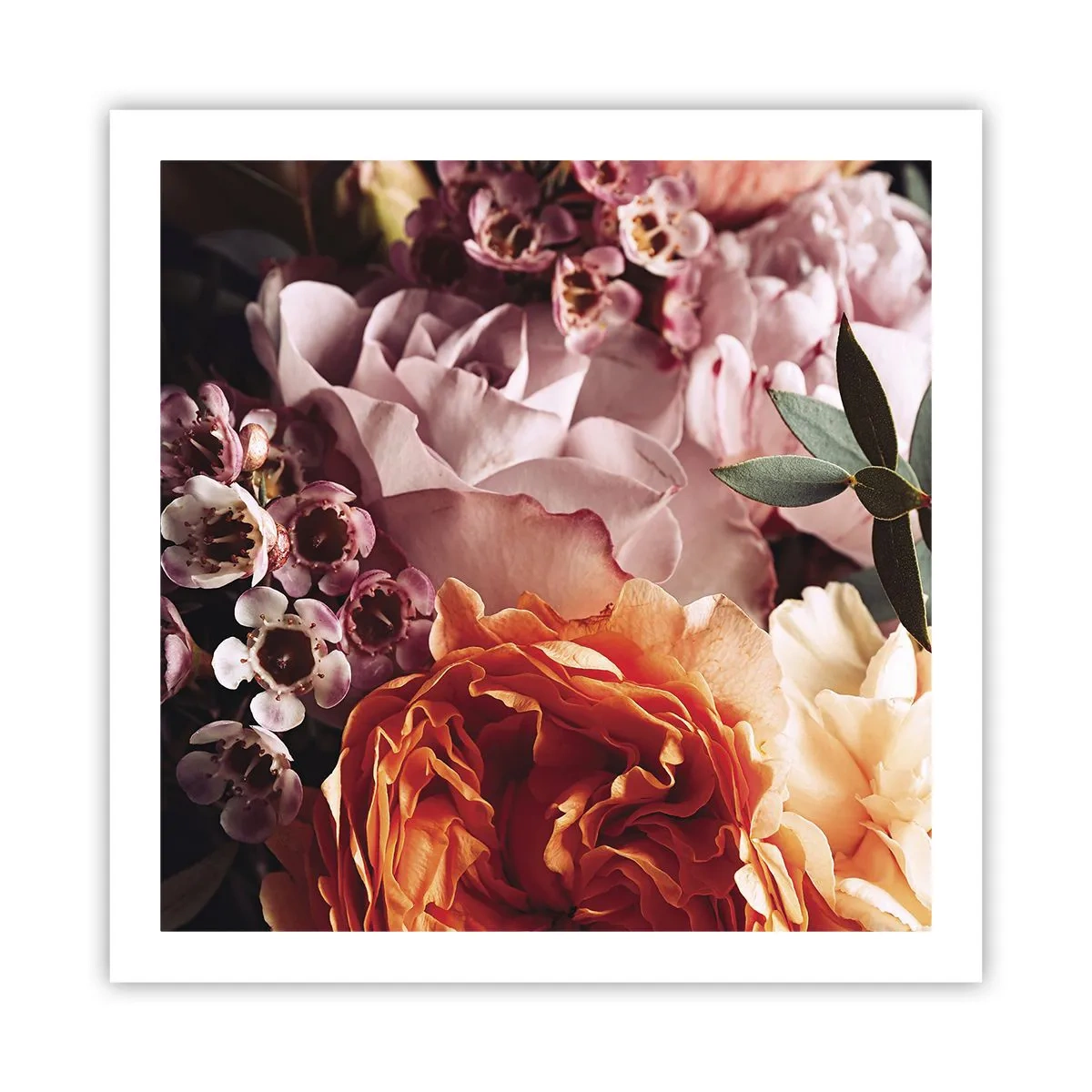 Poszter - Szépségbe burkolózva - 60x60 cm