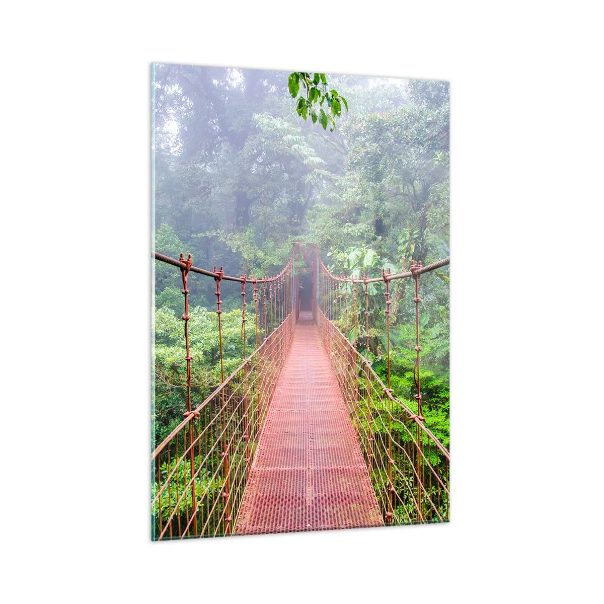 Üveg kép - A lomkoronák fölé függesztve - 50x70 cm