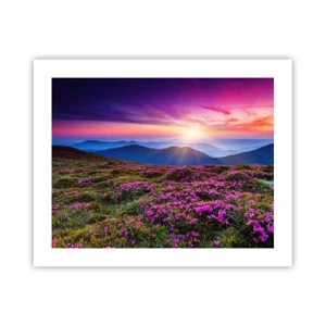 Poszter - A gyógynövények friss fürtjei illatoztak a mezőkről - 50x40 cm