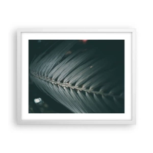 Poszter fekete keretben - A természet pontossága - 50x40 cm