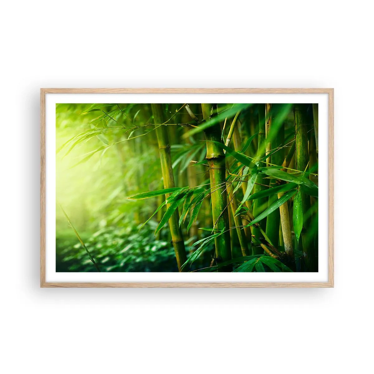 Poszter világos tölgy keretben - Megismerni magát a zöldet - 91x61 cm