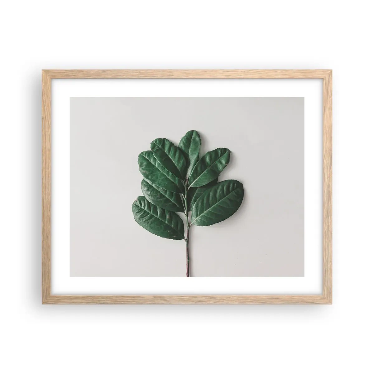 Poszter világos tölgy keretben - Rajz csak a természetről - 50x40 cm