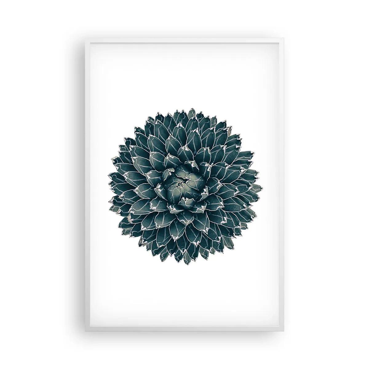 Poszter fekete keretben - A sivatag csillaga - 61x91 cm