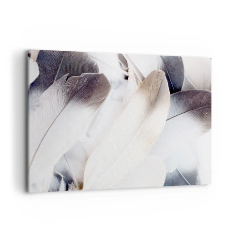 Vászonkép - Szinte angyali - 100x70 cm