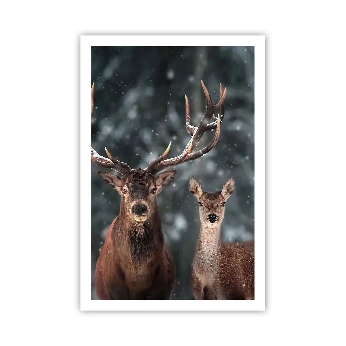 Poszter - Az erdő ura a feleségével - 61x91 cm