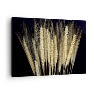 Vászonkép - Búzakalászok rusztikus stílusban, fekete alapon - 70x50cm - Rusztikus varázslat - Modern fali dekoráció nappalihoz és hálószobához ARTTOR