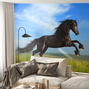 Fotótapéta Premium Sand - A szabadság izgalmas kiáltványa - Állatok, Ló, Tájkép - 100x70 cm