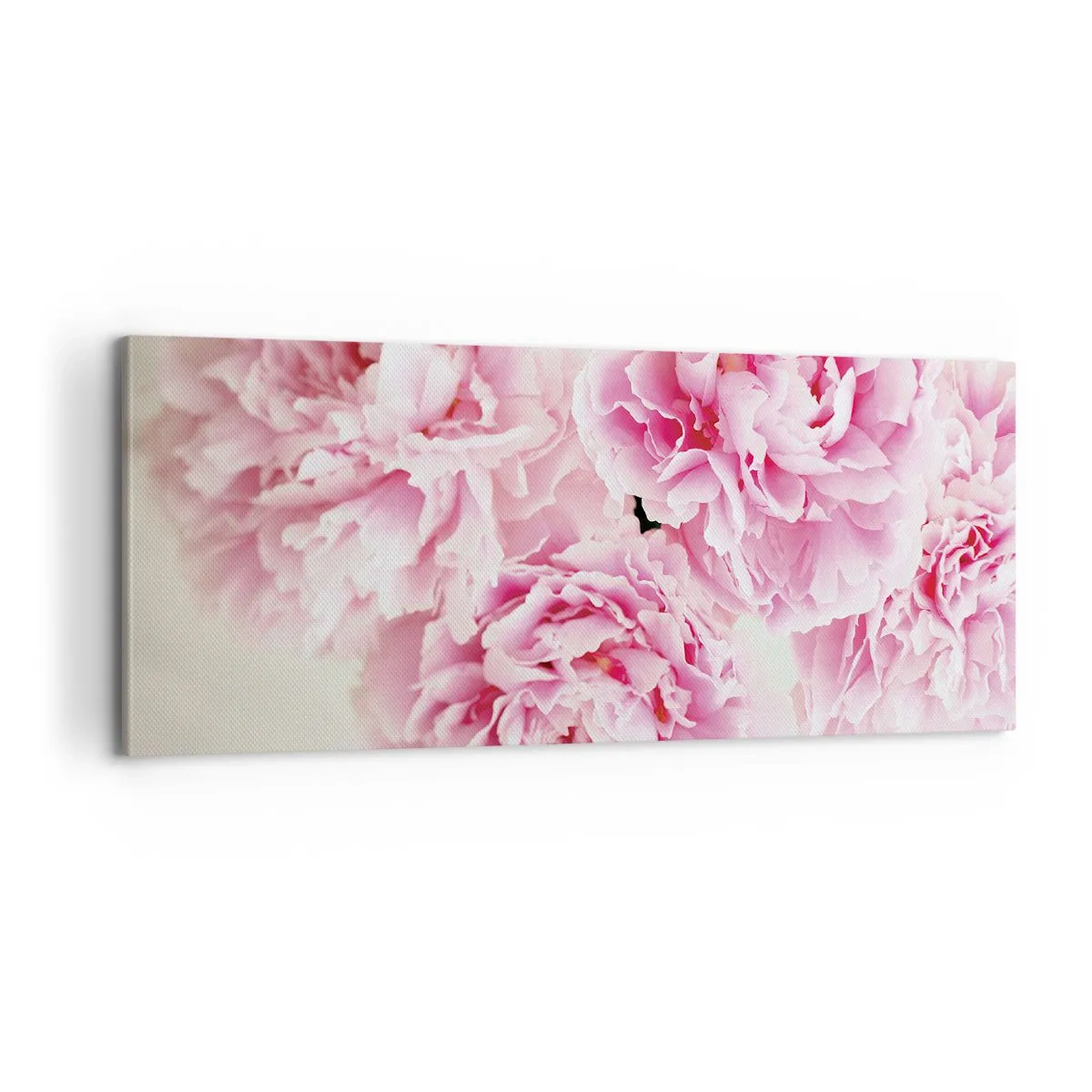 Vászonkép - Rózsaszín pompában - 100x40 cm