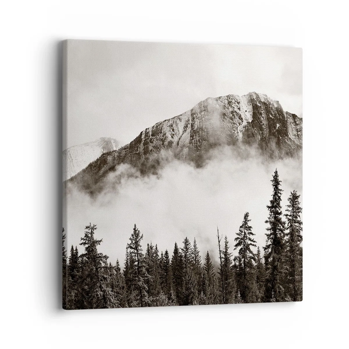 Vászonkép - Gránit uralkodó - 40x40 cm