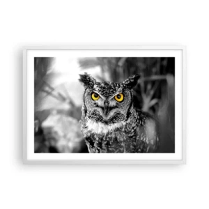 Poszter fekete keretben - Semmi sem fog elbújni - 70x50 cm