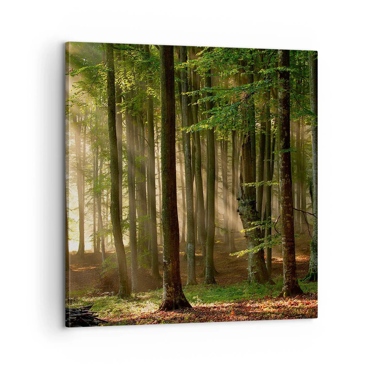 Vászonkép - Ragyogó tavaszi reggelen - 60x60 cm