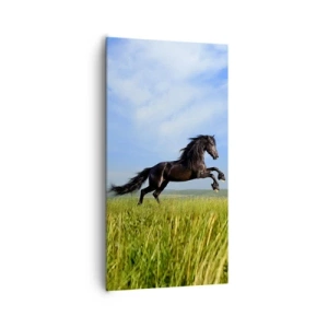 Vászonkép - A szabadság izgalmas kiáltványa - 65x120 cm