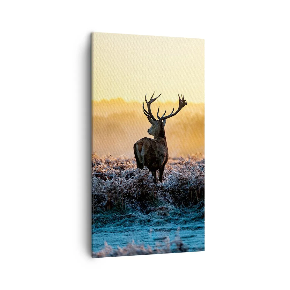 Vászonkép - Megkoronázott a birtokán - 45x80 cm