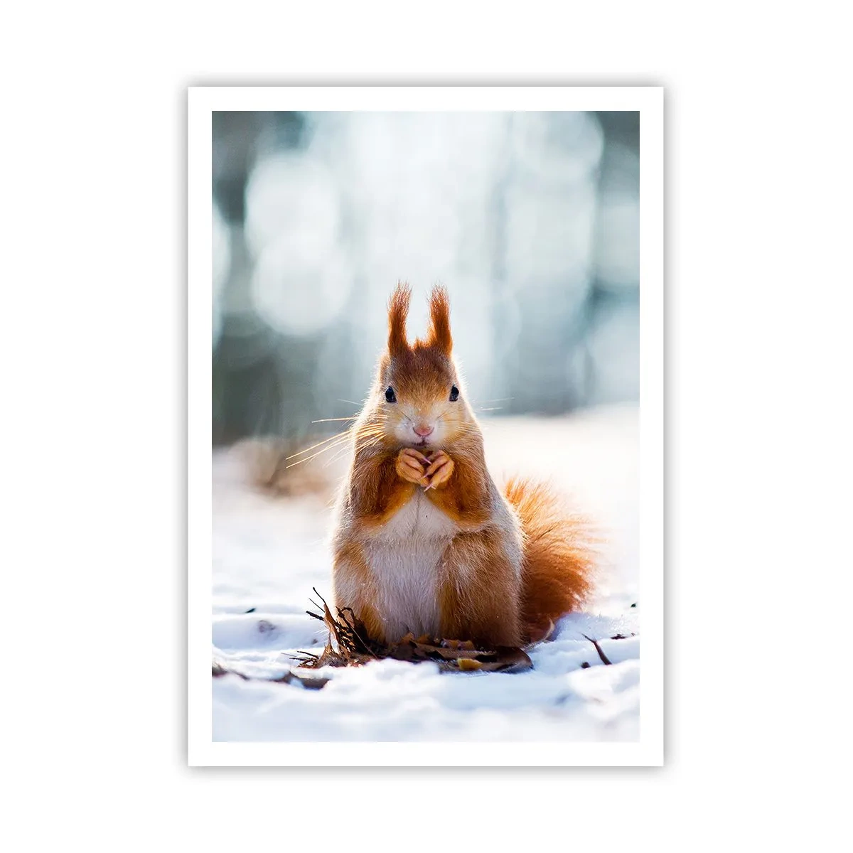 Poszter - Mit nézel? - 70x100 cm