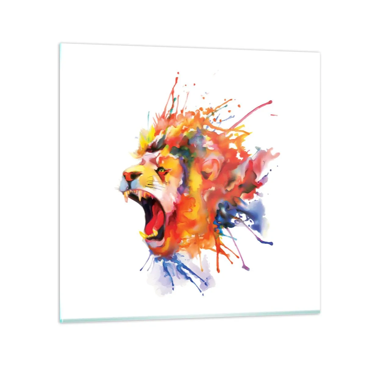 Üveg kép - Felrobbanni a haragtól  - 50x50 cm